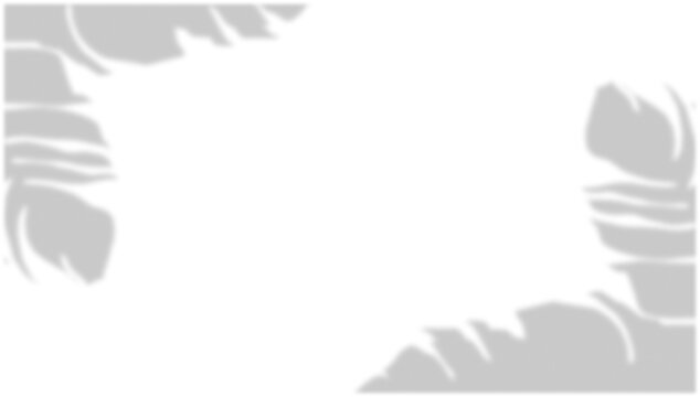 Tropical Leaf Shadow Overlay Diagonal Corners on Transparent Background PNG