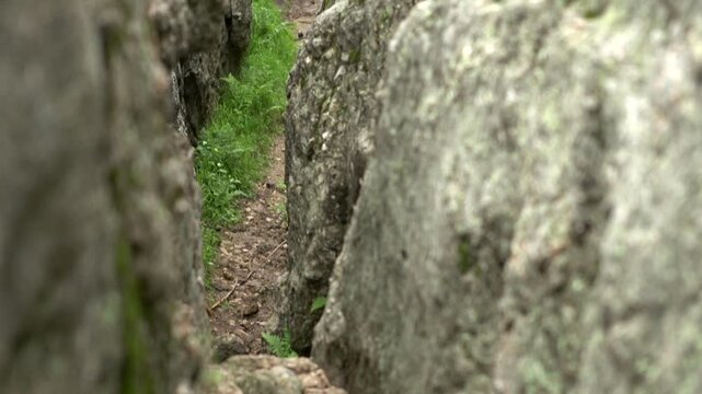 Narrow dirt path leading to water
