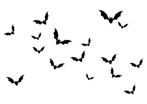 Black bats flying in a scattered formation