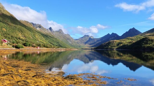 Peaceful fjord landscape by Olderfjord on the Lofoten Islands with reflective water, steep green mountains and autumn colors