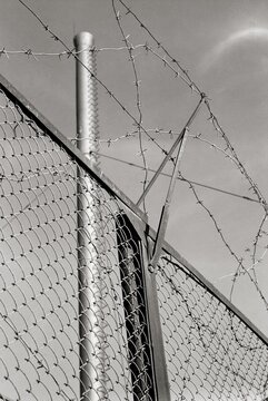 Close-Up of a Barbed Wire Fence