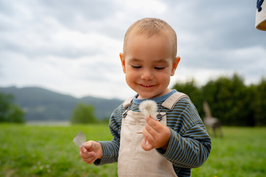 Young boy holding dandelion seeds exploring nature outdoors