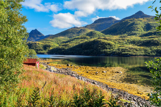 Picturesque coastal landscape near Olderfjord on the Lofoten Islands with rocky shore, calm water, green mountains and red wooden house in sunny weather under blue sky.
