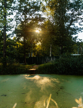 Sunlight Shines on a Small Platform in a Green Pond