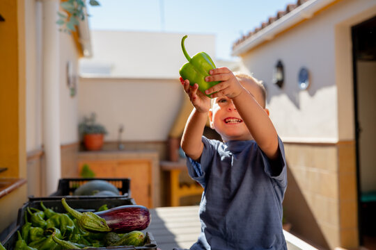 Happy boy holding fresh green bell pepper from harvest