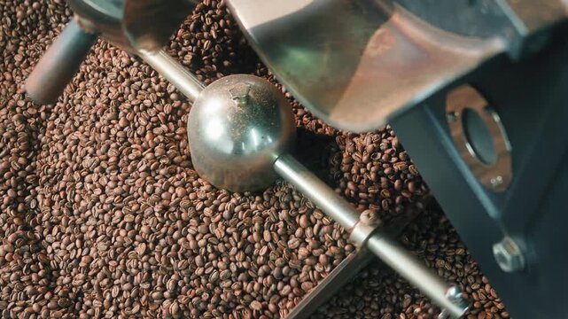 Fresh roasted coffee beans cooling inside a wide industrial drum at modern factory rotating equipment circulating hot grains after roasting for drink preparation processing food beverage production