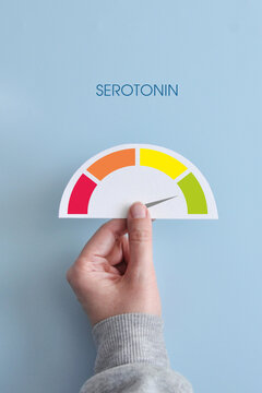Serotonin level indicator on a blue background. High serotonin level in the blood.