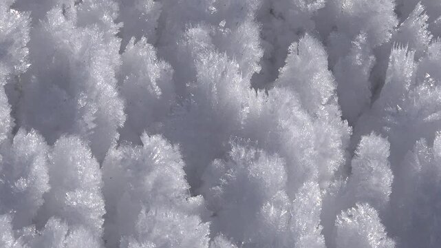Sharp rime ice and hoar frost cover ground, delicate winter crystals across untouched surface.