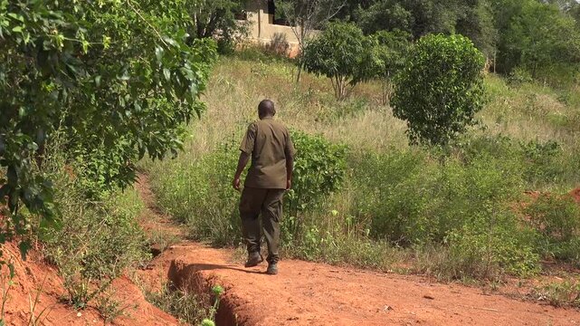 African ranger walks along dirt path in green uniform across rural grassland terrain in Congo.