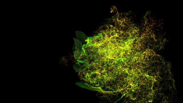 Abstract Fluorescence Microscopy of Cellular Organelles and Cytoskeleton Network in Green and Yellow Dyes