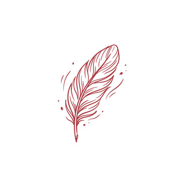 Red feather with delicate strokes for design or decoration.
