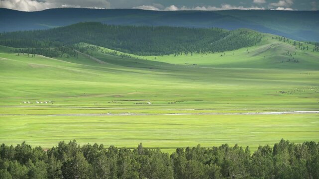 Mongolian ger tents stand in wide steppe meadow, showing traditional shelter under daylight.