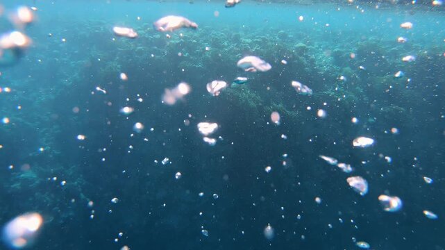View of air bubbles rising through the deep blue water of the Red Sea, Egypt.