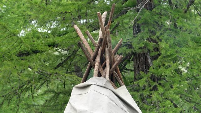 Tipi tent smoke rising from wooden pole frame inside forest, traditional native shelter.
