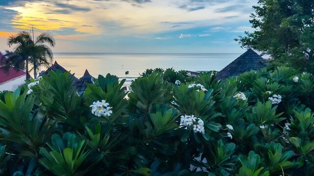 Bright sunrise over the ocean with flowers and greenery in the foreground