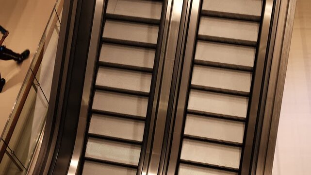Modern parallel escalators moving in commercial building atrium.