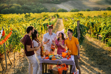 Obraz premium Full-length shot of happy friends celebrating Halloween with red wine at a rustic outdoor vineyard table.