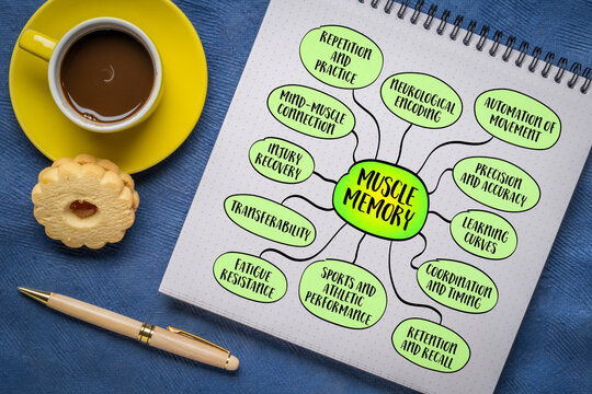 Muscle memory, the ability to perform a specific motor task automatically after it has been learned through repetition, mind map infographics sketch.