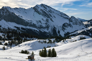 Wooden hay barn in a snowy alpine basin © Michal