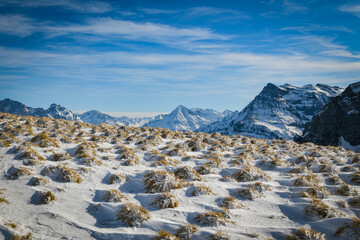 Frosted grass tussocks before sharp snowy peaks © Michal