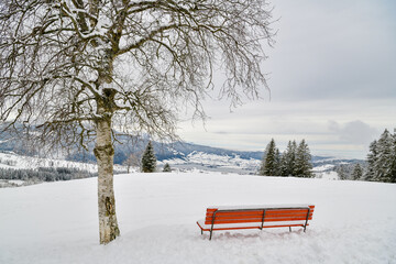 Red bench under a snowy birch above a lake © Michal