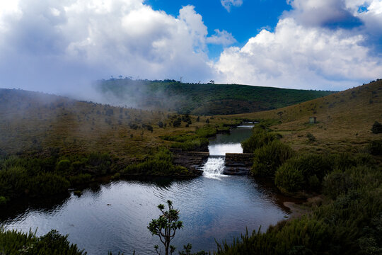 Foggy Mountain Marshland with Winding Creek and Lush Wild Shrubs