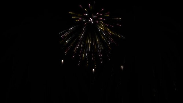Colorful fireworks explode in dark night sky celebrating holiday festival fun.