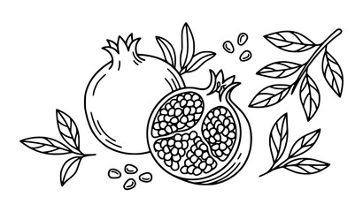 Black and white line art illustration of pomegranates with leaves and scattered seeds © Allah