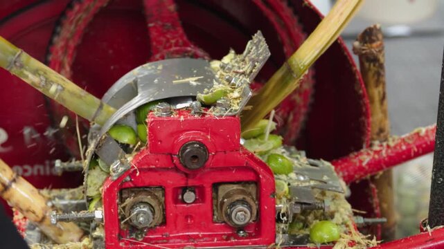 Saccharum officinarum sugarcane and lime extracted in traditional trapiche mill machine 60fps 4k