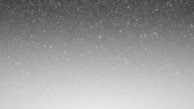 Realistic falling snowflakes on silver white loop copy space background. Concept winter season snowfall animation.