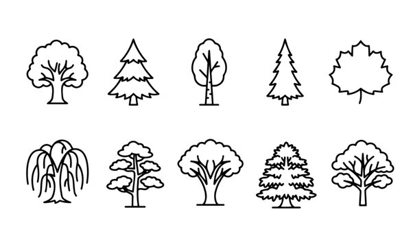 Tree types and forest species line art icons vector set.