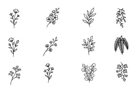 Wildflower and botanical leaf branch line art icons vector set.