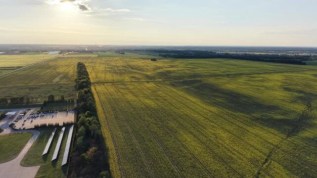 Aerial perspective of spring farmland and blooming crops
