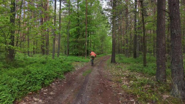 Active cyclist exploring countryside mountain bike path