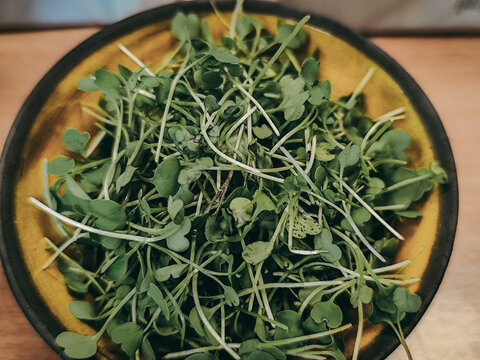 Fresh green microgreens with delicate stems and rounded leaves arranged in a rustic amber bowl on a wooden tabletop, overhead food still life