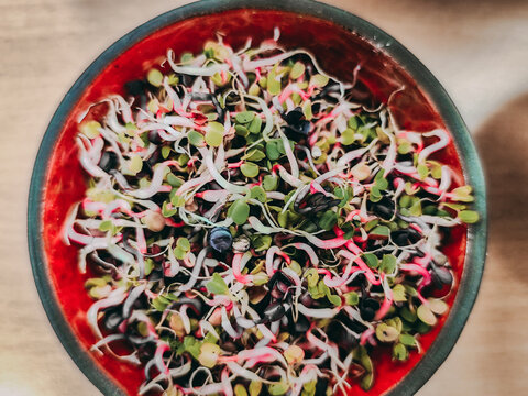 Colorful mixed microgreens and sprouts arranged in red ceramic bowl, viewed from above with fresh edible shoots and seeds on wooden surface