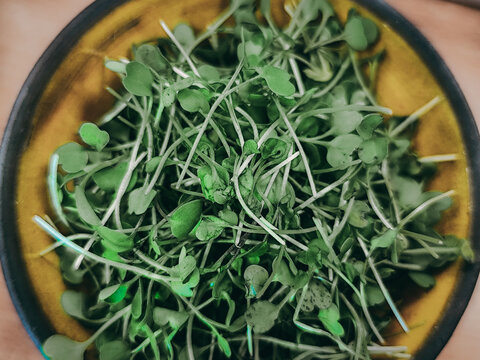 Fresh green microgreens piled in a rustic ceramic bowl, featuring delicate stems and small leaves in a close-up overhead food composition