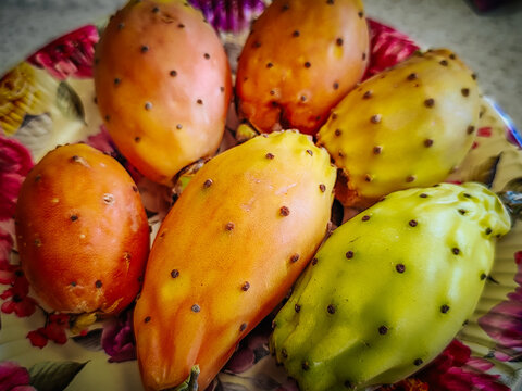 Colorful ripe prickly pears with orange, yellow, and green skins covered in small dark spots arranged closely on a decorative floral plate, tropical fruit still life