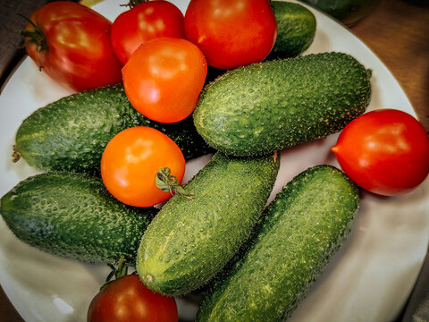 Fresh cucumbers and ripe red and orange tomatoes arranged together on a white plate, showing varied shapes, colors, and textured vegetable skins in a close-up still life
