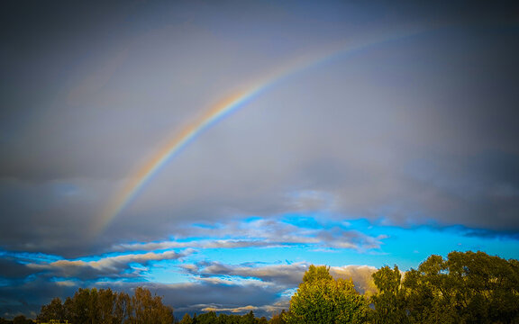 Colorful rainbow arching across dramatic storm clouds above sunlit green trees and a bright blue horizon, atmospheric weather landscape photograph with natural outdoor scenery