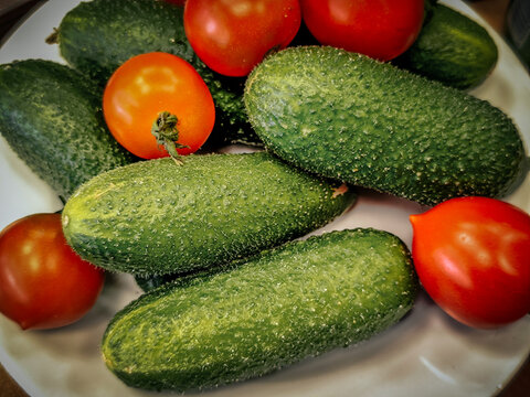 Fresh cucumbers and red tomatoes arranged on white ceramic plate, showing textured green skins, natural colors, and abundant garden vegetables in close-up food still life
