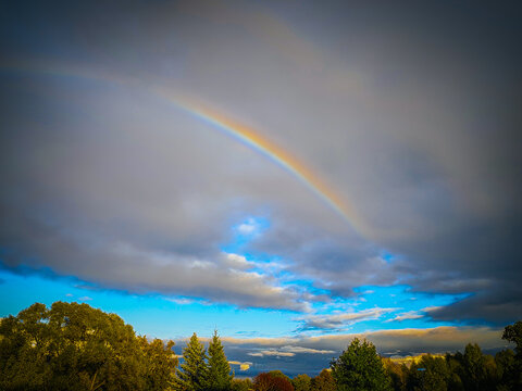 Bright rainbow arching through dramatic storm clouds above a colorful tree-lined horizon with blue sky and warm evening light in a scenic outdoor landscape view