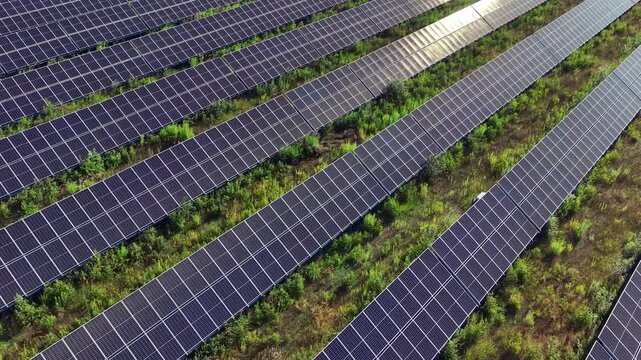 Aerial View of Solar Panel Field Producing Clean Renewable Electricity