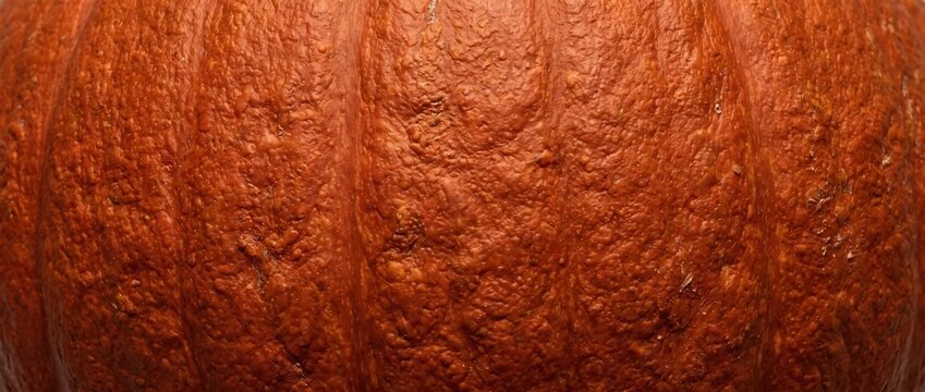 Rough orange pumpkin rind macro texture. Close up of ribbed and bumpy pumpkin skin surface