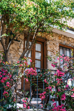 Bougainvillea flowers growing around rustic stone house with wooden windows, charming Mediterranean architecture, old town courtyard and sunny summer travel destination.