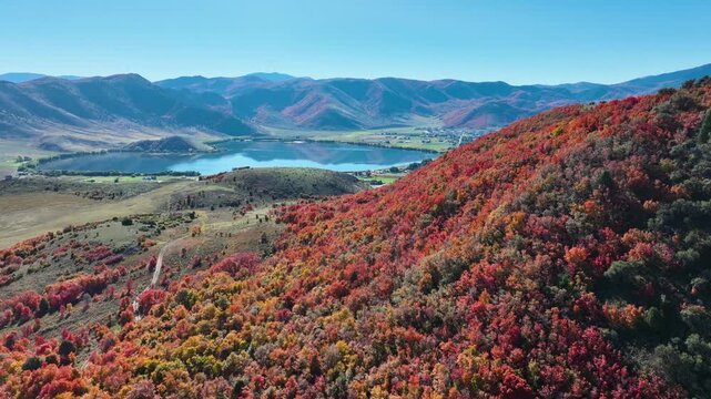 Aerial of a mountainside in Utah covered with trees turning their beautiful fall colors