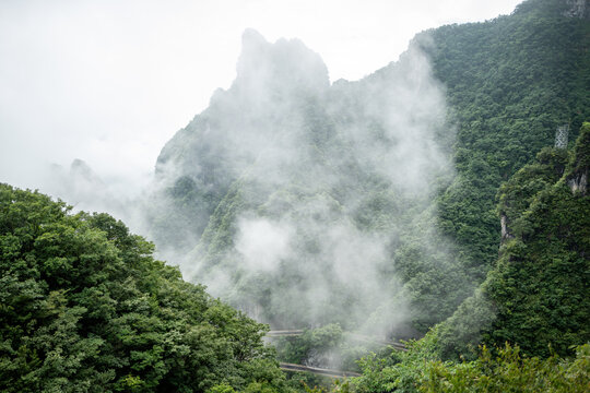 A dramatic, moody landscape emphasizing the untamed wilderness of Zhangjiajie. Thick white clouds roll over jagged mountain ridges and dense, vibrant green rainforest.