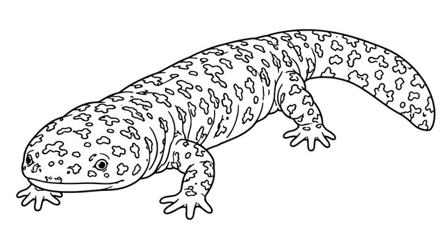 Line art illustration of a giant salamander with mottled spotted skin four legs and long tapering tail drawn with thin black lines in side view composition highlighting blunt snout and textured back