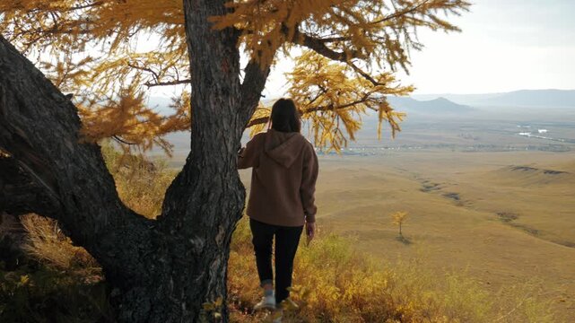 Woman standing by a yellow larch tree looking at the autumn valley and Bely Iyus river in Khakassia. Handheld camera shot of a scenic nature landscape.
