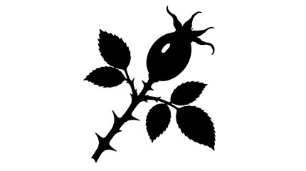 Obraz premium Color illustration of a bright red rosehip fruit on a thorny green stem with serrated leaves and dried brown sepals rendered with bold outlines in diagonal composition emphasizing botanical detail